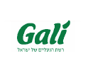 תמונה דיפולטיבית_edited_edited_edited.png